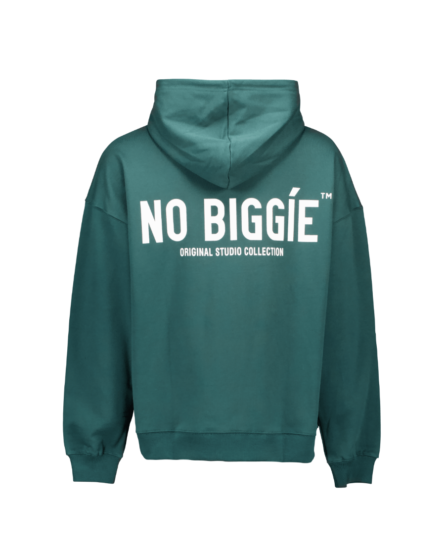 003 oversized hoodie green back
