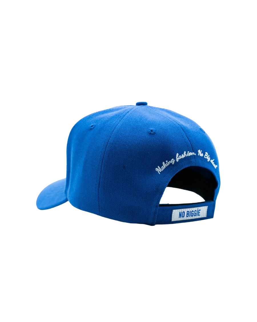 nb baseball cap blue back